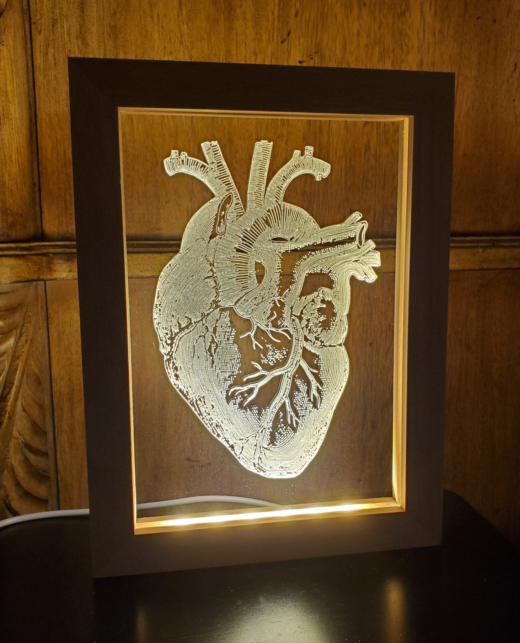 Anatomical Heart Framed LED Lighted Acrylic Plaque